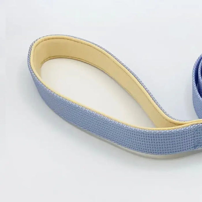 Goodboy Barkin' Comfort Leash 2.0 - Periwinkle