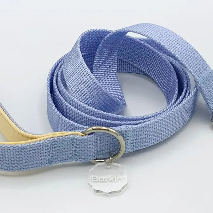 Goodboy Barkin' Comfort Leash 2.0 - Periwinkle