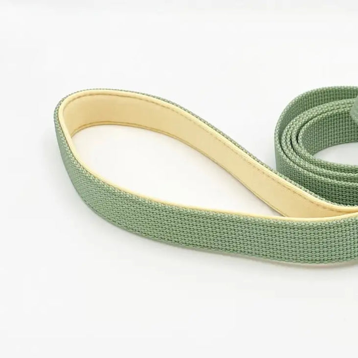 Goodboy Barkin' Comfort Leash 2.0 - Sage