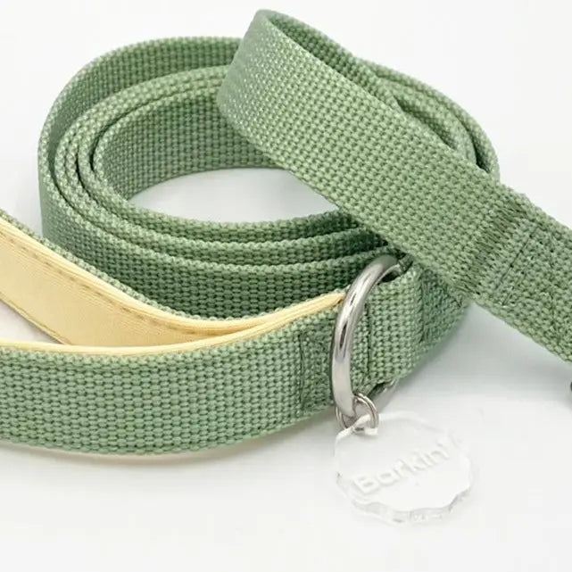 Goodboy Barkin' Comfort Leash 2.0 - Sage