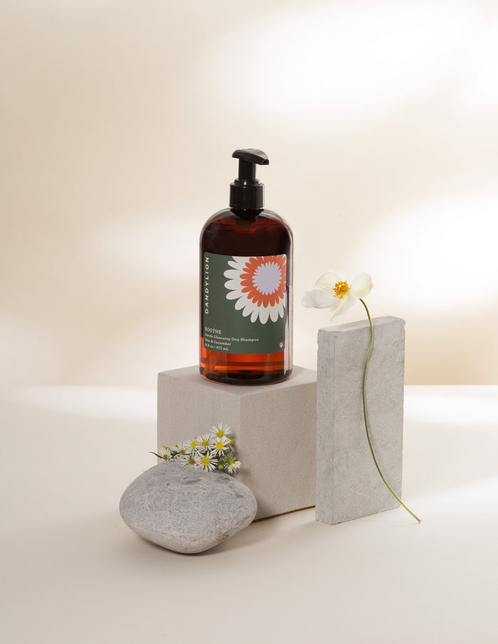 Goodboy Dandylion Cleansing Dog Shampoo