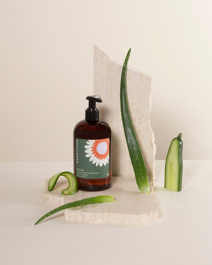 goodboy Dandylion Cleansing Dog Shampoo