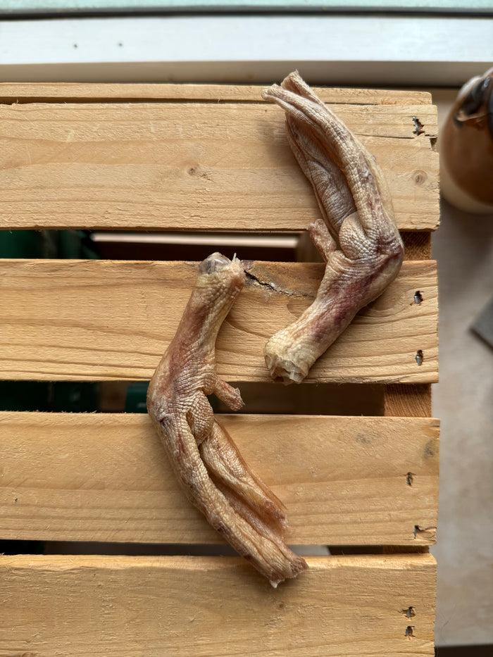 goodboy Doggo Hearts - Duck Feet (Singles)