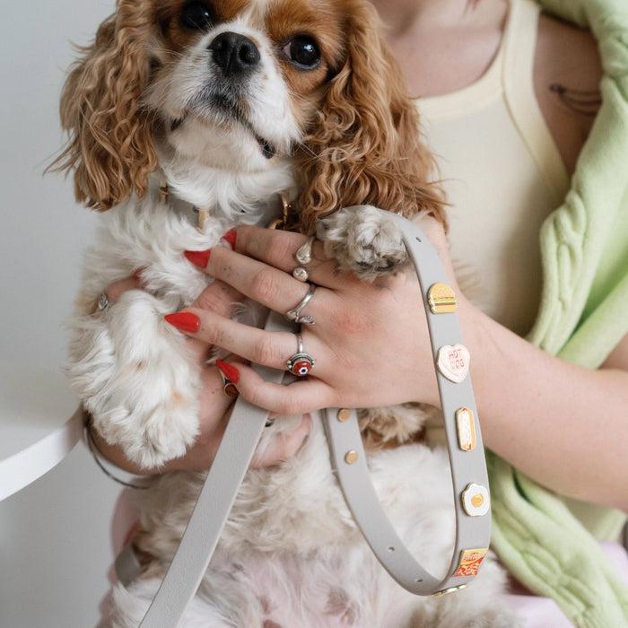 Goodboy Furei Classic Leash (Add Moodies Charms )