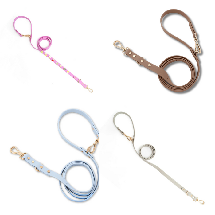 goodboy Furei Classic Leash (Add Moodies Charms )