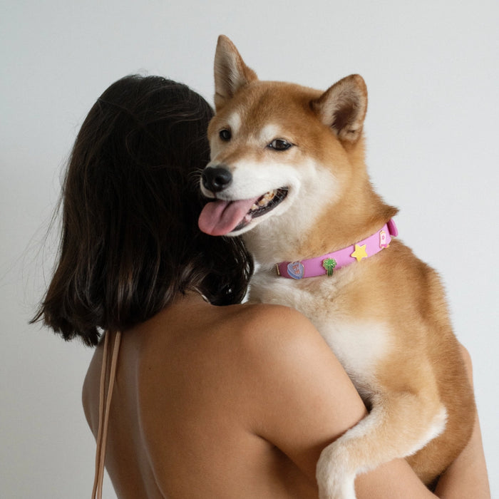 Goodboy Furei MOODIES Collar Charms