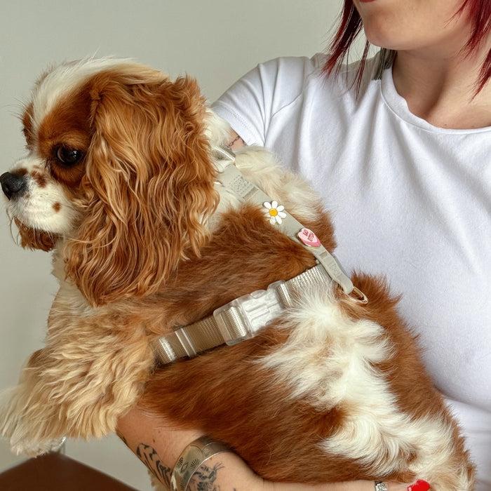 Goodboy Furei MOODIES Harness