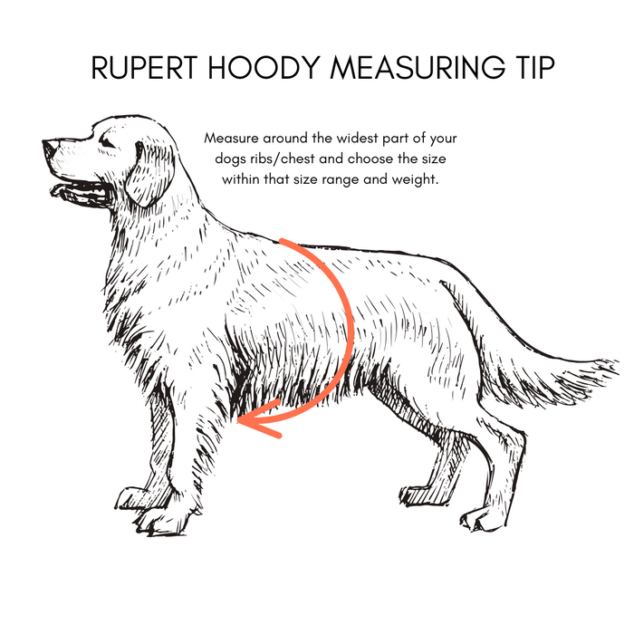 Goodboy Gb-c Rupert Hoodie - Perfect Grey