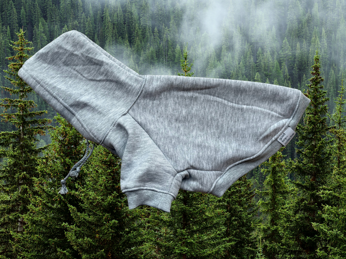 goodboy Gb-c Rupert Hoodie - Perfect Grey