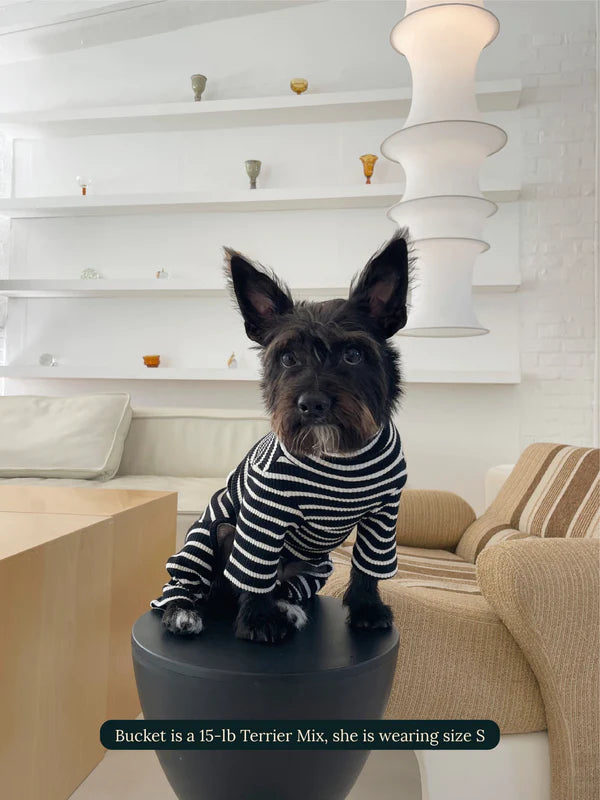 Goodboy Little Beast Onesie - Cafe In Paris