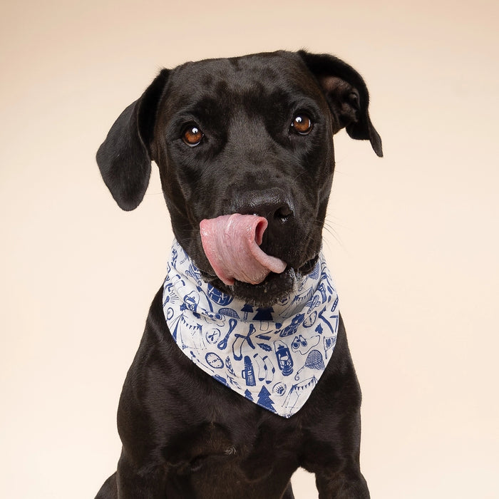 Goodboy Paws Bandana - Wander Camping