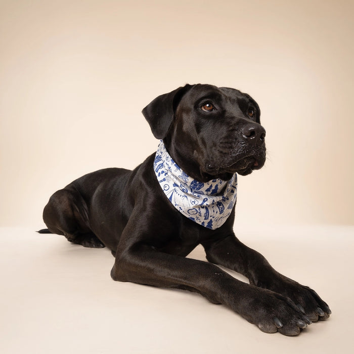 Goodboy Paws Bandana - Wander Camping