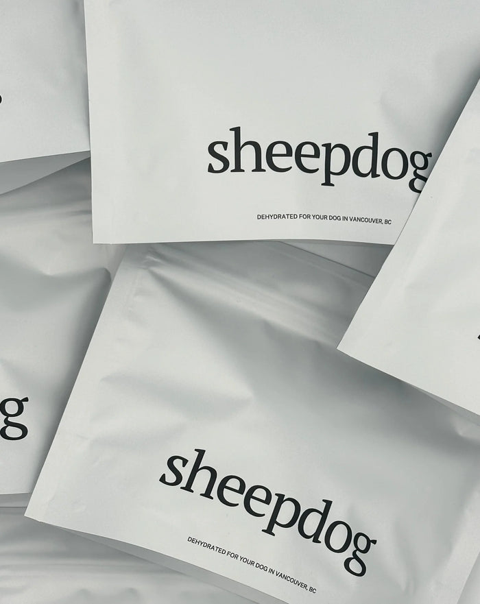 Goodboy Sheepdog Treats - Squid