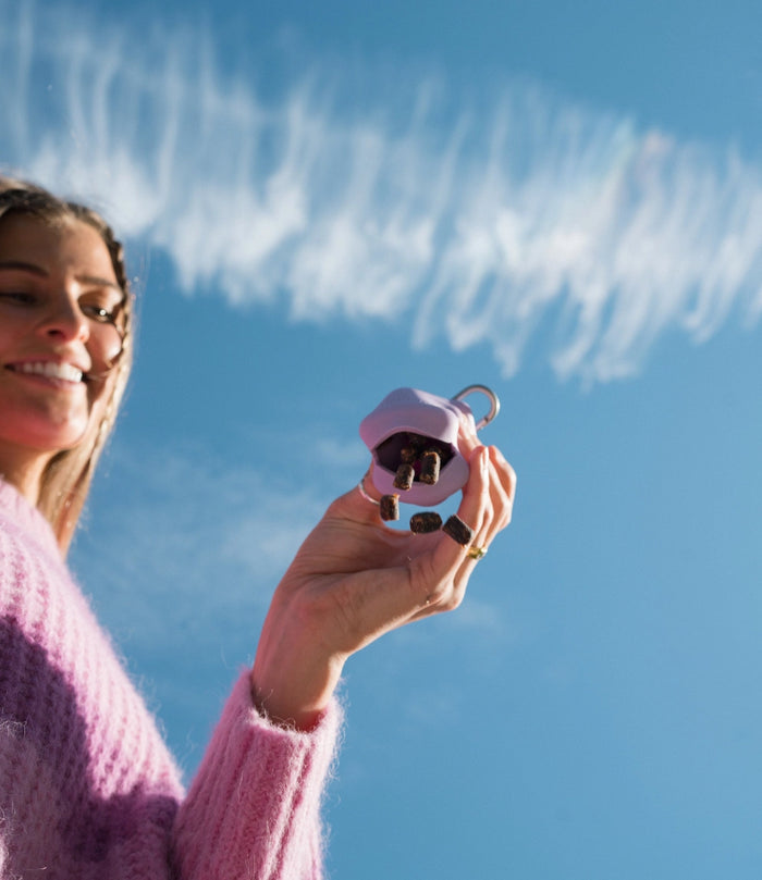 Goodboy Springer Pets - Treat Dispenser