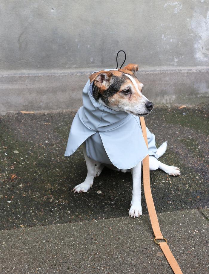 Goodboy Tadazhi Raincoat - Light Grey