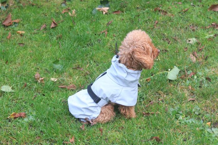 Goodboy Tadazhi Raincoat - Light Grey