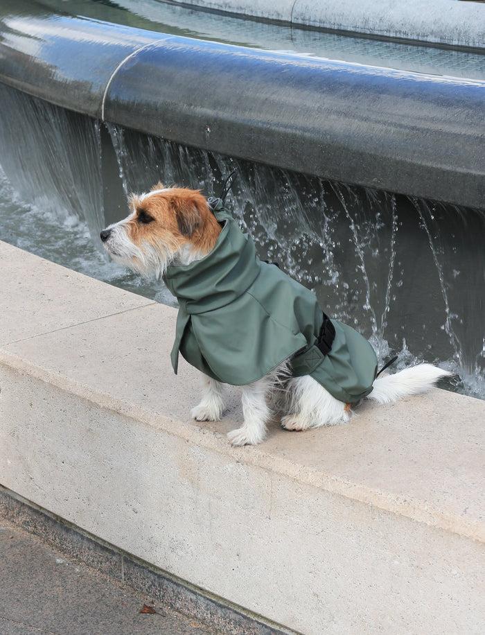 Goodboy Tadazhi Raincoat - Olive Green
