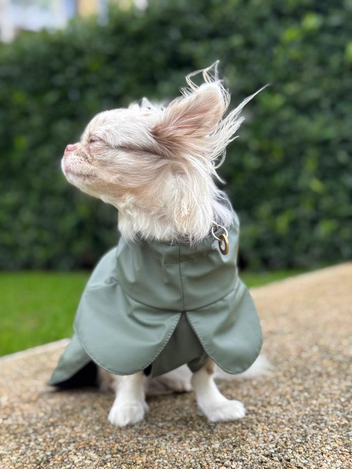 Goodboy Tadazhi Raincoat - Olive Green