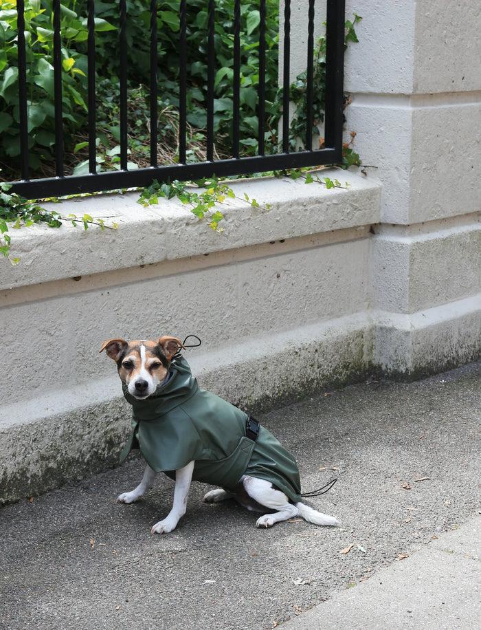 Goodboy Tadazhi Raincoat - Olive Green