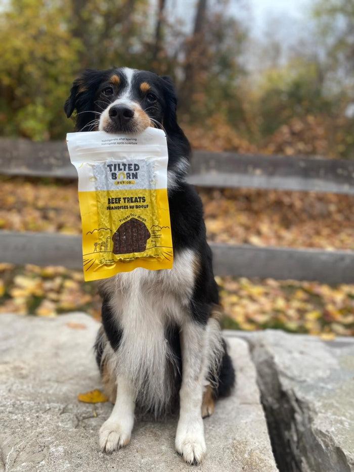 Goodboy Tilted Barn Beef Treats