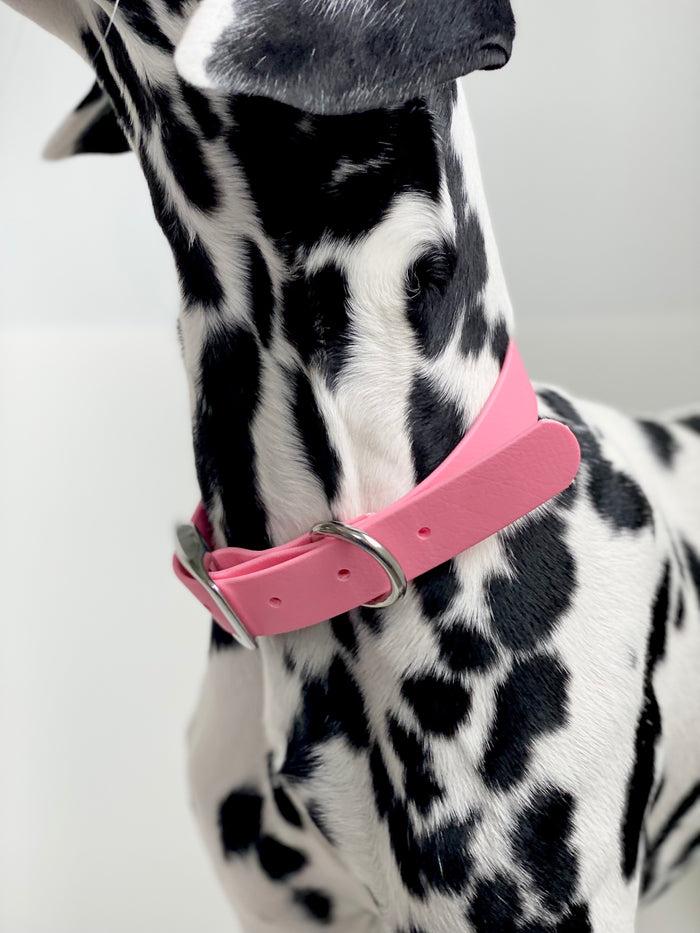 Goodboy Walk By Good Boy - Biothane Collar - Bubblegum