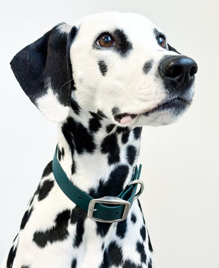 Goodboy Walk By Good Boy - Biothane Collar - Forest