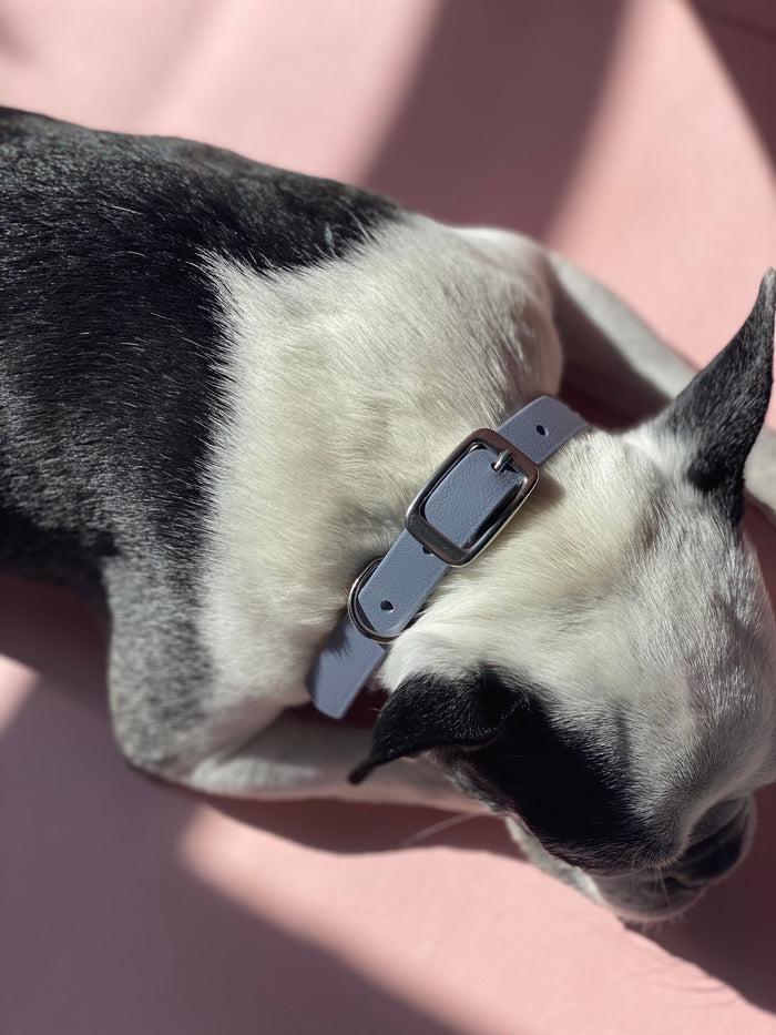 Goodboy Walk By Good Boy - Biothane Collar - Slate