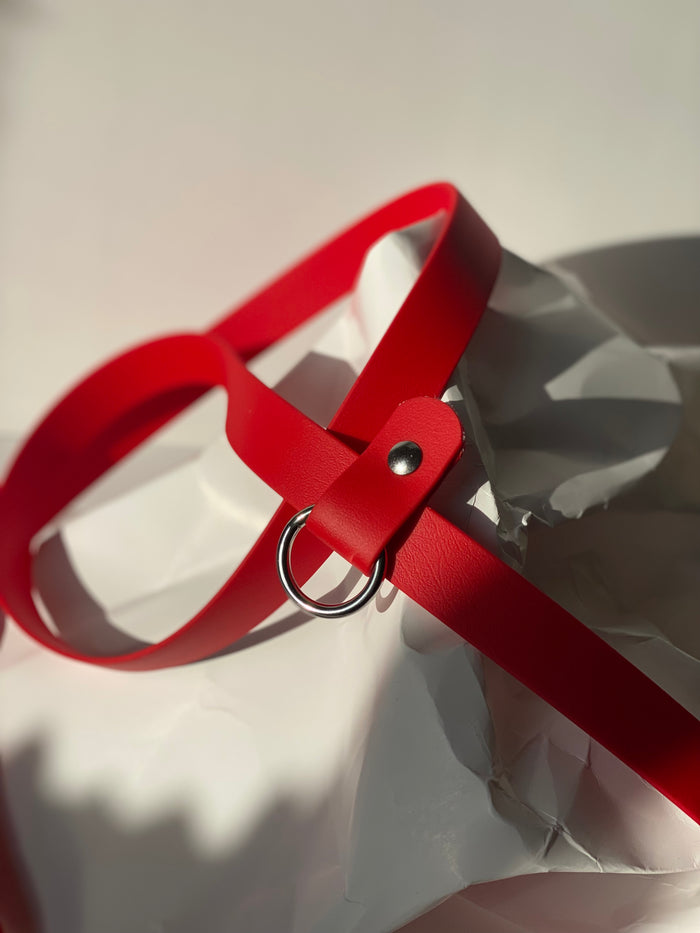 Goodboy Walk By Good Boy - The Any Way Lead - Chili