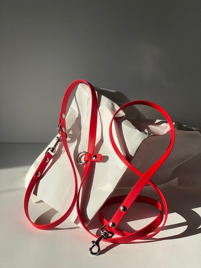 Goodboy Walk By Good Boy - The Any Way Lead - Chili