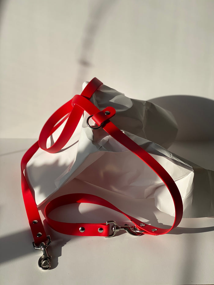 Goodboy Walk By Good Boy - The Any Way Lead - Chili