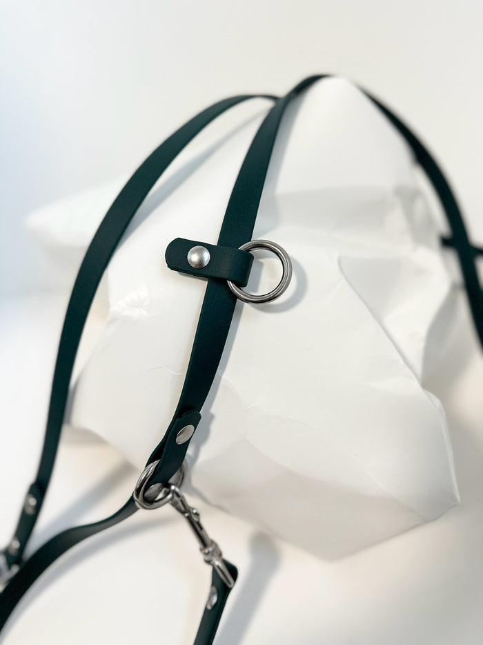 Goodboy Walk By Good Boy - The Any Way Lead - Forest