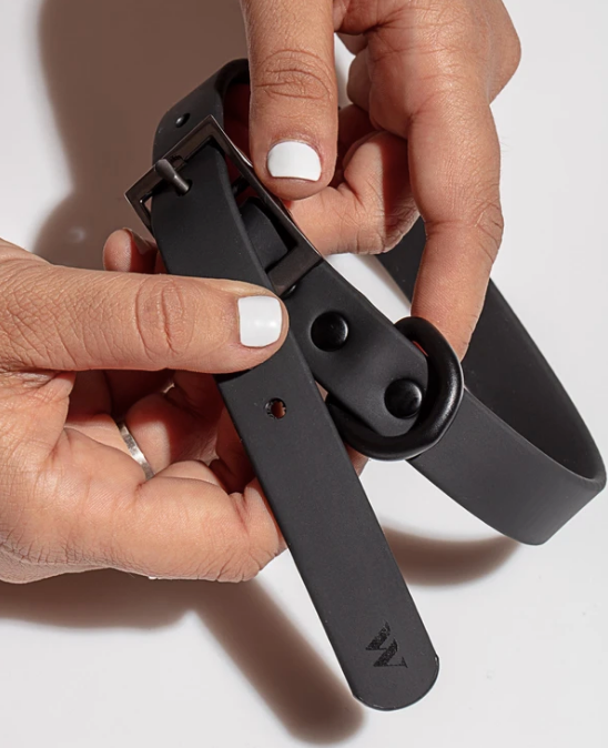 Goodboy Wild One Collar - Black