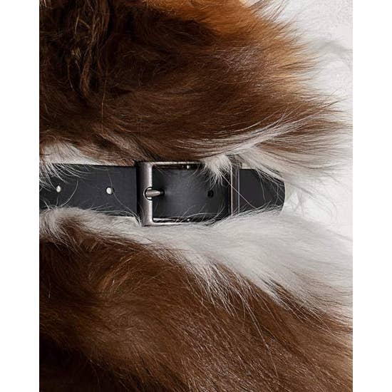 Goodboy Wild One Collar - Black