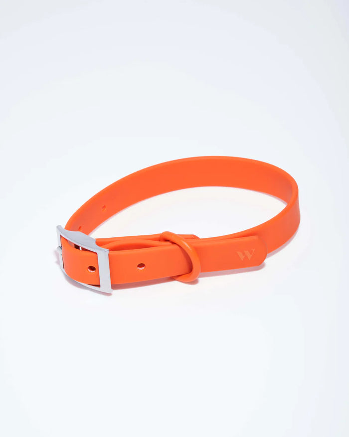 goodboy Wild One Collar - Blaze (S and M AVAILABLE)