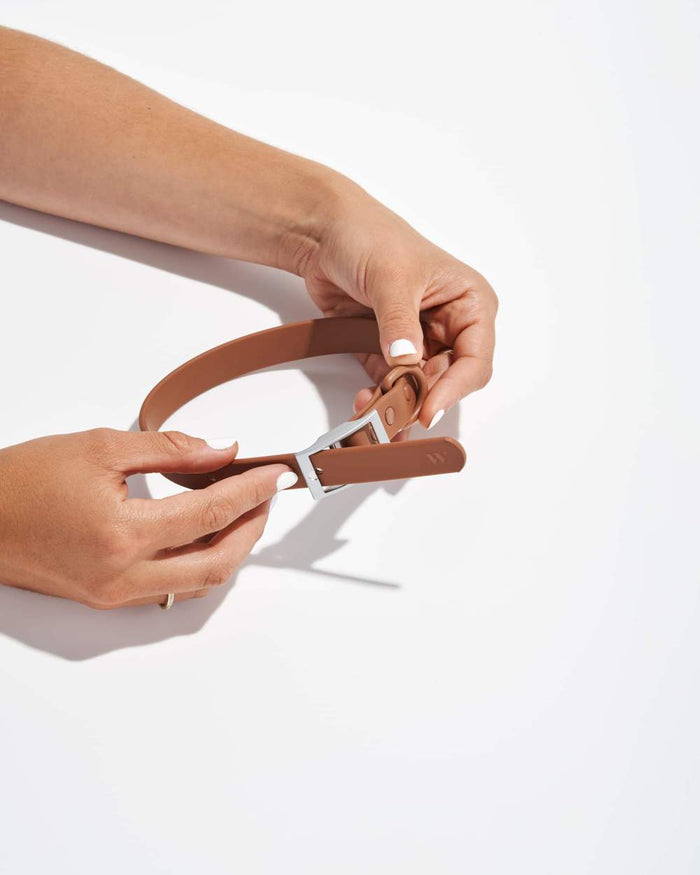 Goodboy Wild One Collar - Cocoa