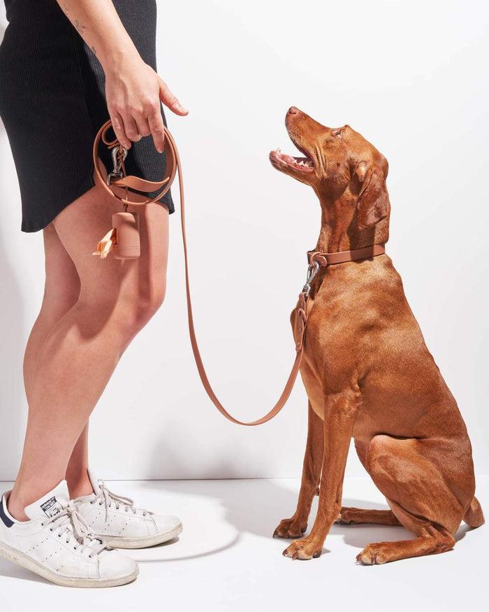 Goodboy Wild One Collar - Cocoa