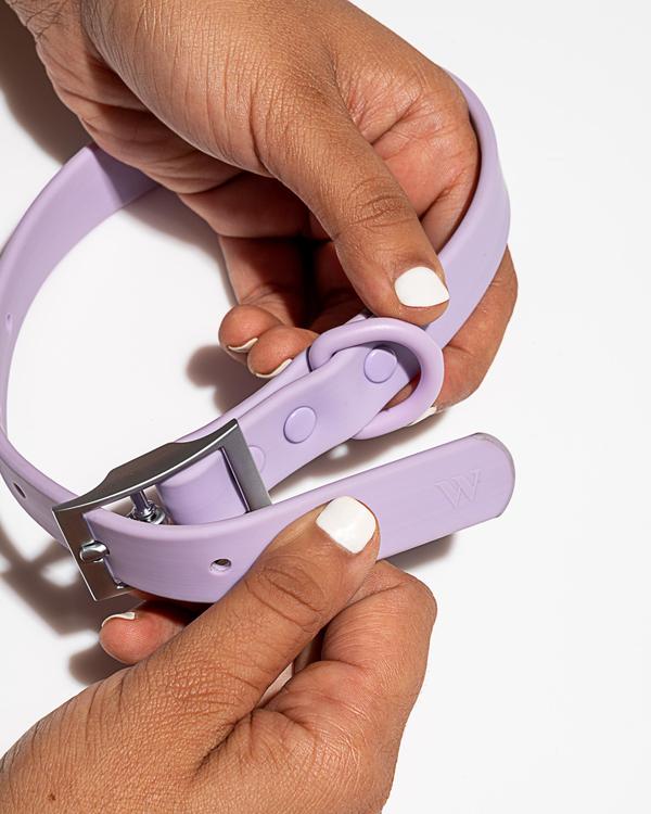 Goodboy Wild One Collar - Lilac