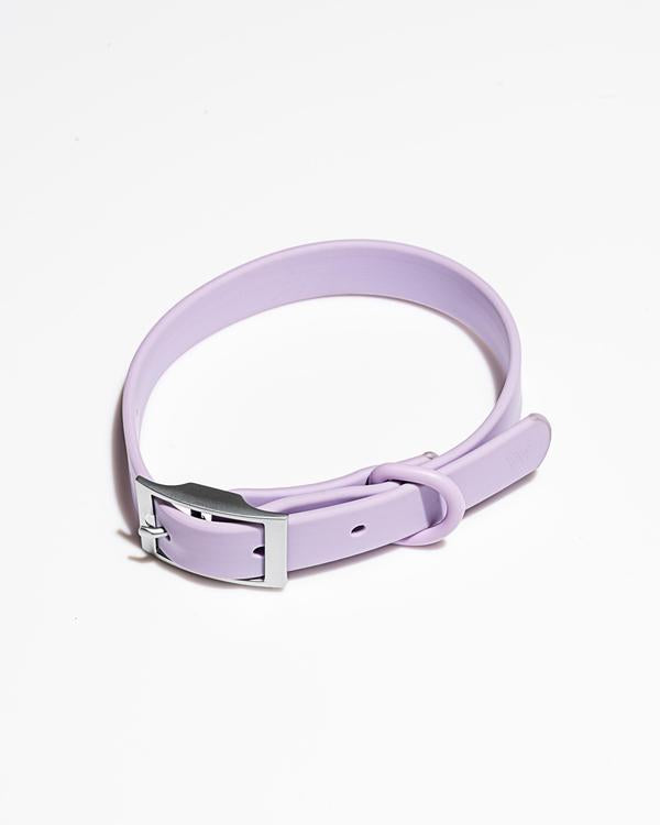 goodboy Wild One Collar - Lilac