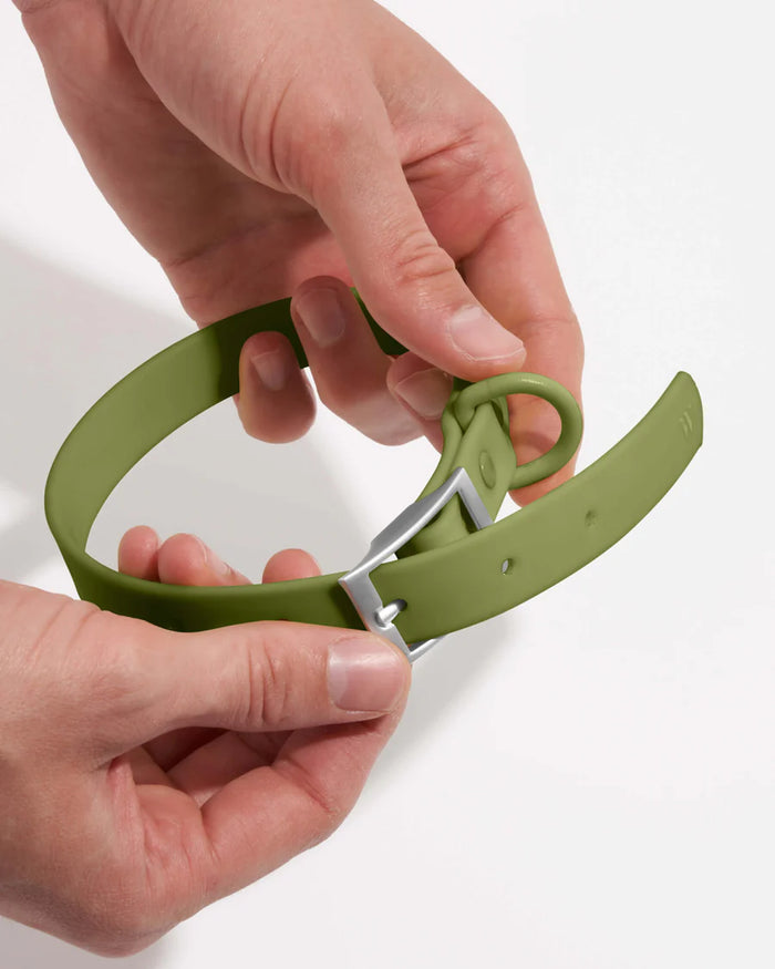 Goodboy Wild One Collar - Moss