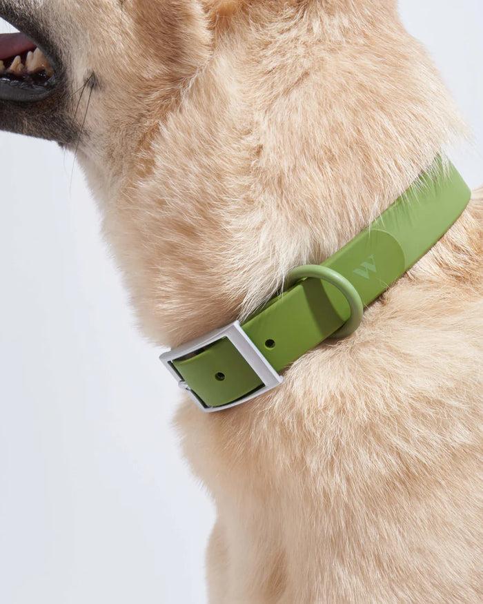 Goodboy Wild One Collar - Moss