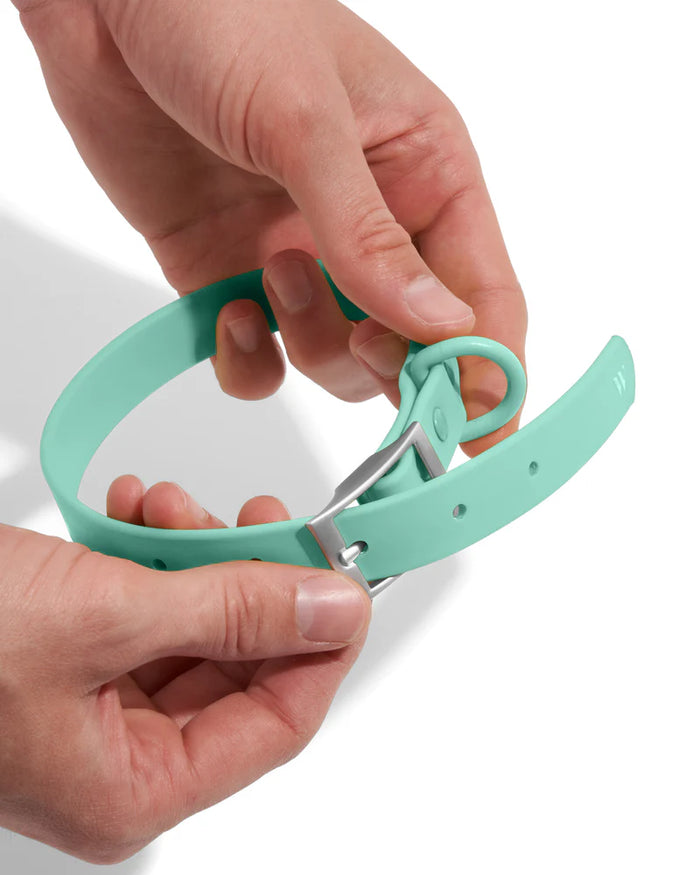 Goodboy Wild One Collar - Seafoam