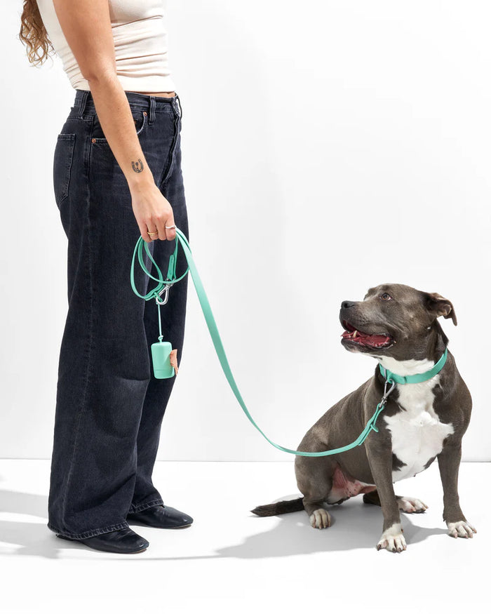 Goodboy Wild One Collar - Seafoam
