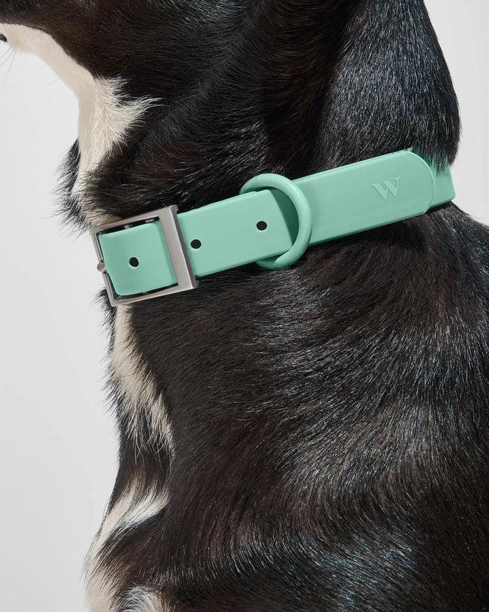 Goodboy Wild One Collar - Seafoam