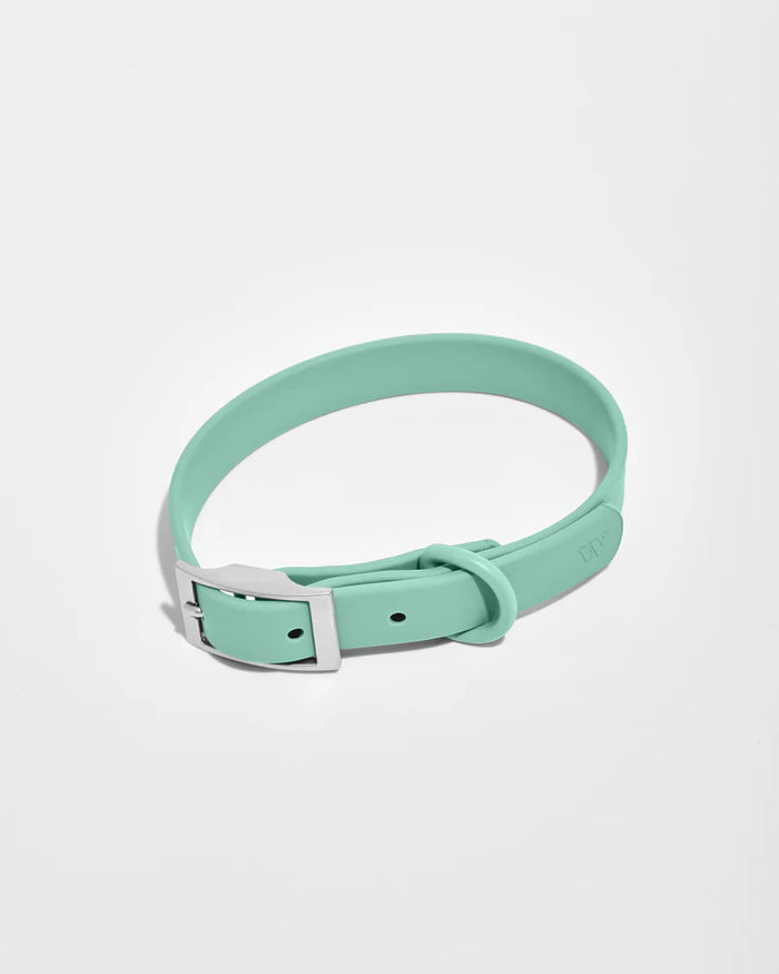 goodboy Wild One Collar - Seafoam