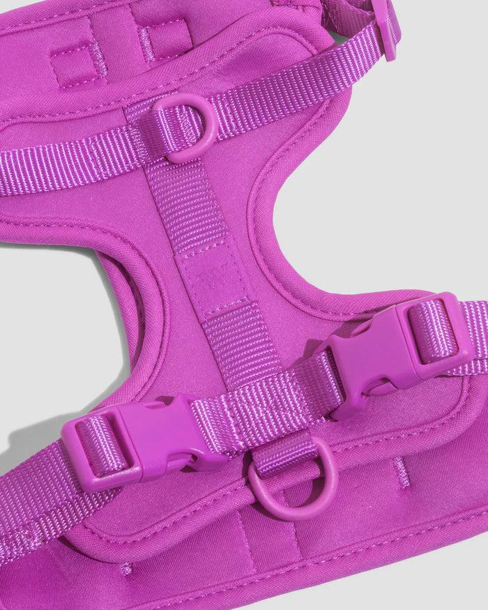 Goodboy Wild One Comfort Harness - Orchid