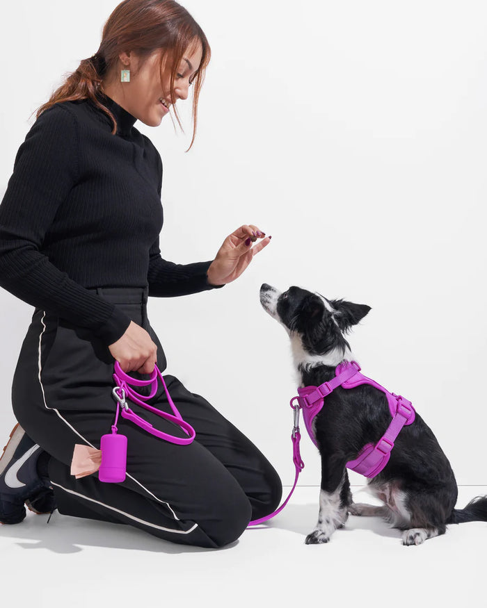 Goodboy Wild One Comfort Harness - Orchid