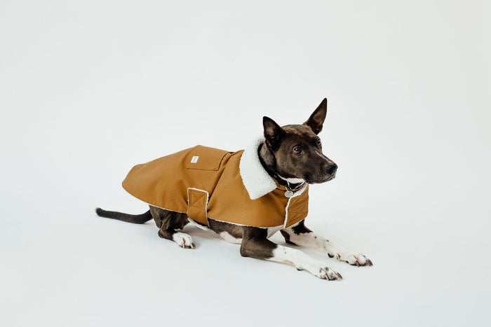 goodboy Working Dog Fleece Coat - Tan