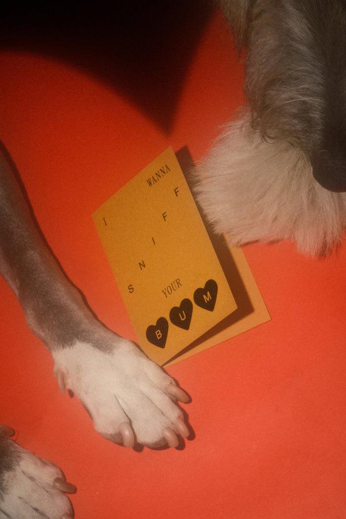 Goodboy Snack Size X KkCo X Goods Gang - Greeting Cards (Assorted)