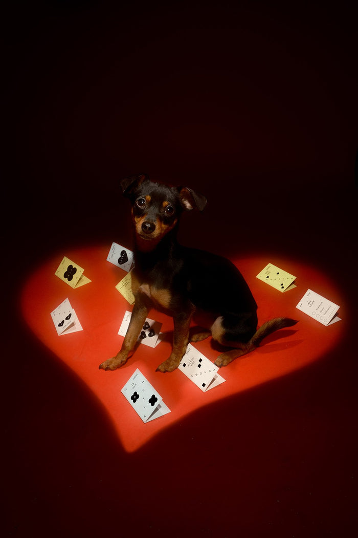 Goodboy Snack Size X KkCo X Goods Gang - Greeting Cards (Assorted)