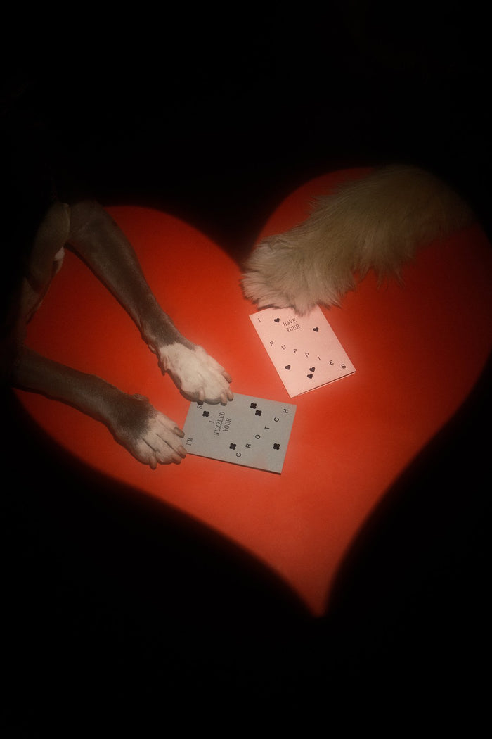 goodboy Snack Size x KkCo x Goods Gang - Greeting Cards (Assorted)